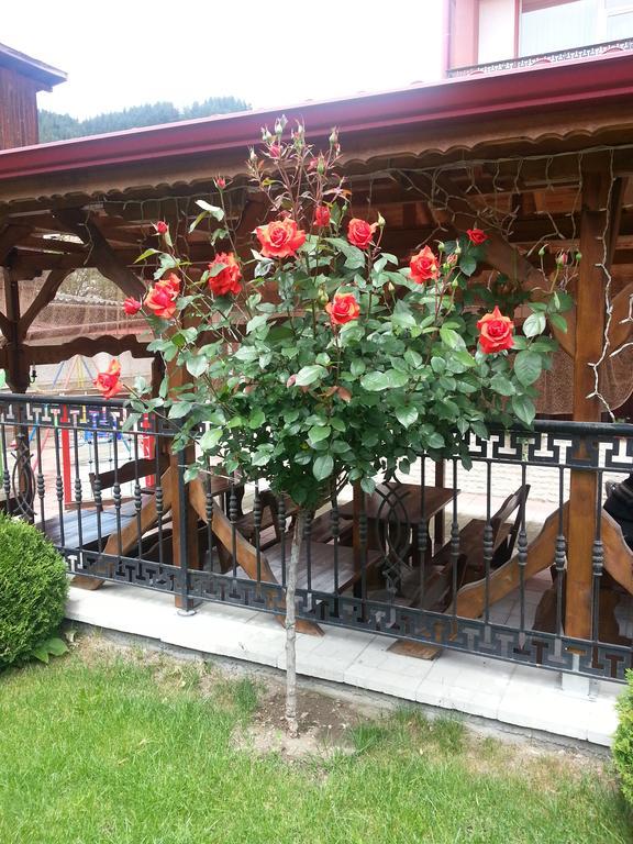 Family Hotel Yola 체페레리 외부 사진